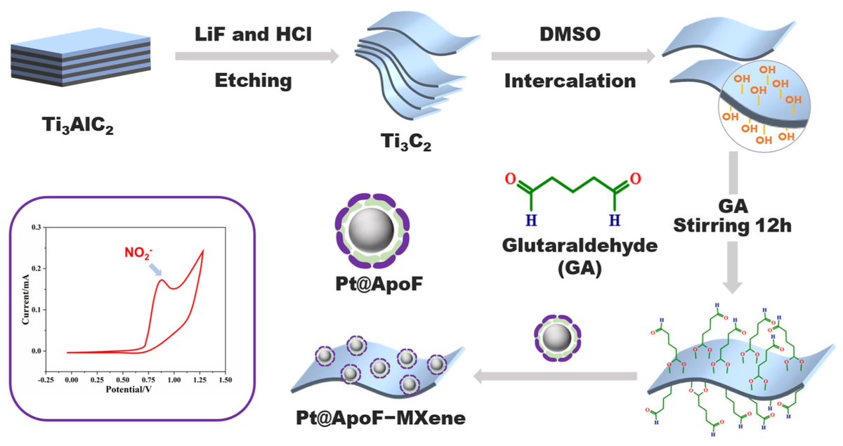 Biosensors_MDPI's tweet photo. 📣Call for Reading:
#Article
#Ti3C2 #Nanosheets Functionalized with #Ferritin–#Biomimetic #Platinum #Nanoparticles for #Electrochemical #Biosensors of #Nitrite
By Wei, G. et al.
https://t.co/UwVbCkIP68
#Biosensor #OpenAccess #Biosensing #Apoferritin #NaNO2 https://t.co/iSpCGPE1iR