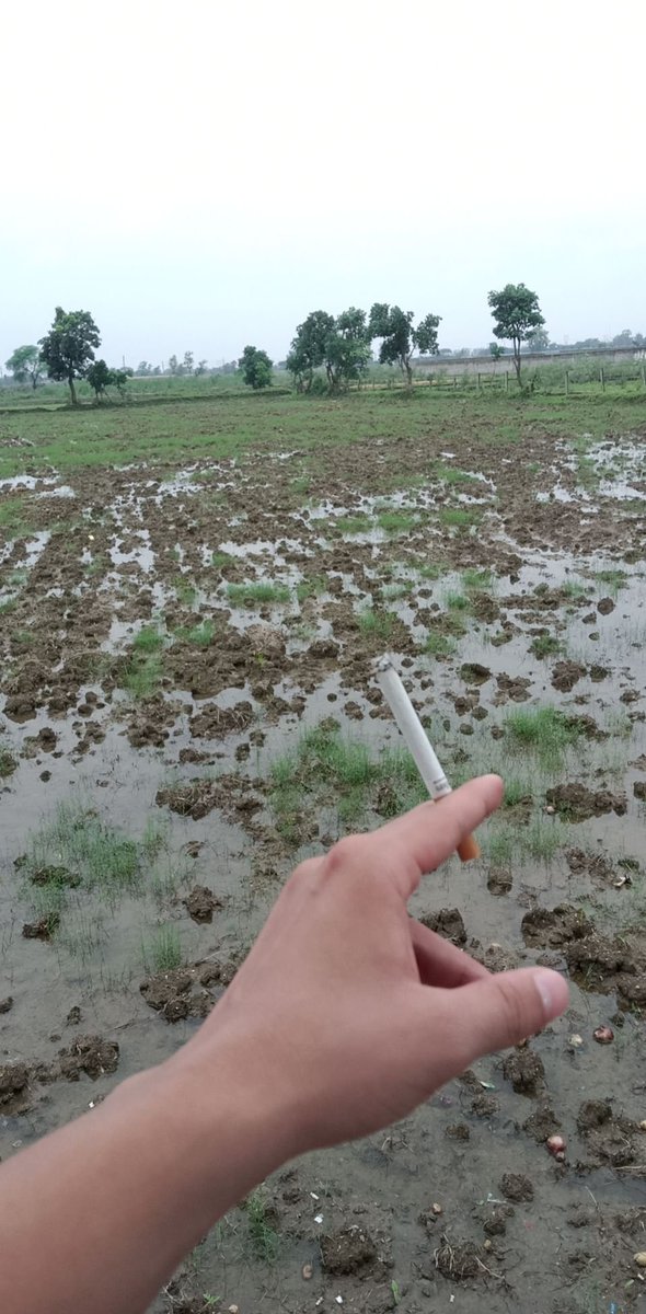 EducatedMoron__'s tweet photo. Pov: one season 🌿🚬 https://t.co/FCpsBgxW5j