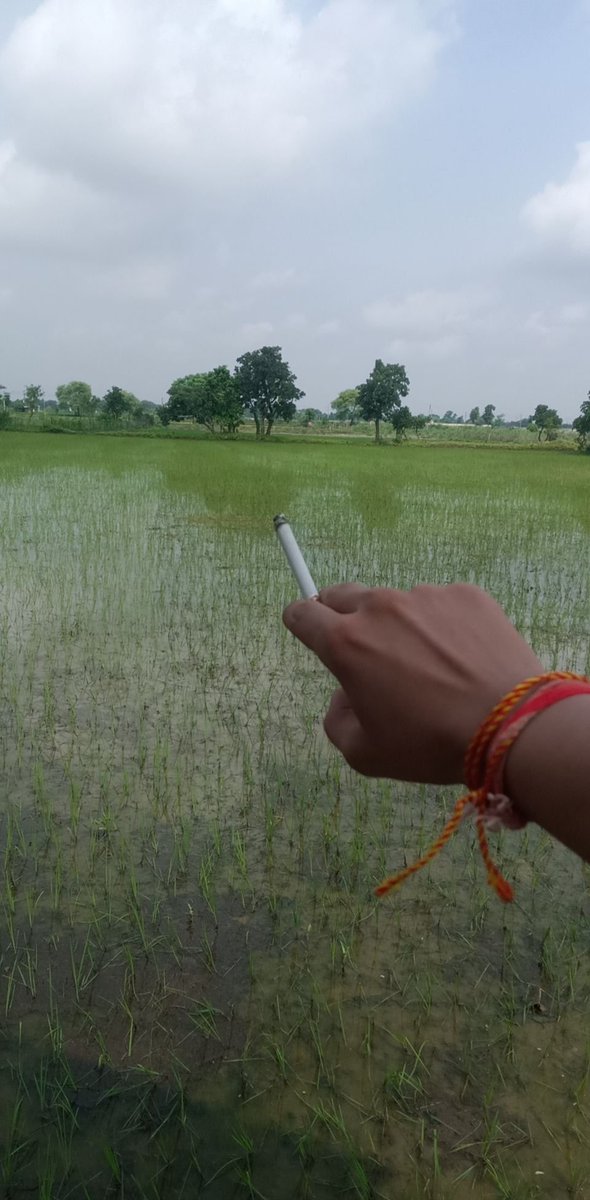 EducatedMoron__'s tweet photo. Pov: one season 🌿🚬 https://t.co/FCpsBgxW5j