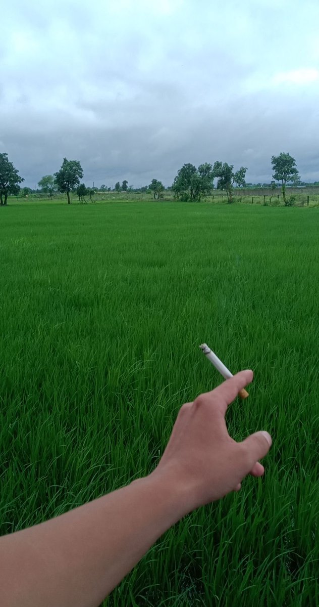 EducatedMoron__'s tweet photo. Pov: one season 🌿🚬 https://t.co/FCpsBgxW5j