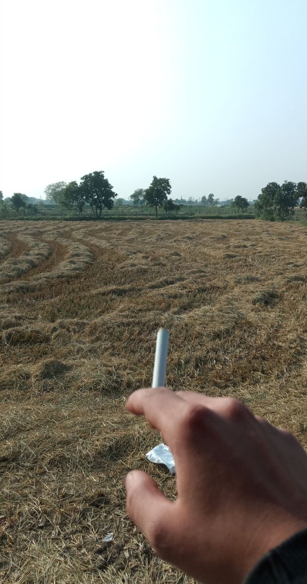 EducatedMoron__'s tweet photo. Pov: one season 🌿🚬 https://t.co/FCpsBgxW5j