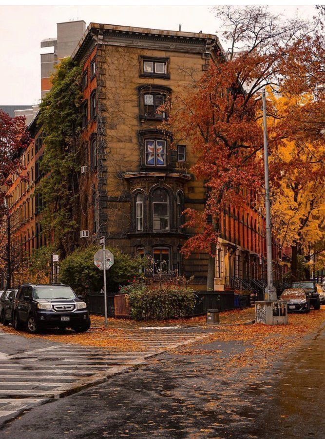 reminiscinbby's tweet photo. autumn in New York https://t.co/zDBdqNAi1O
