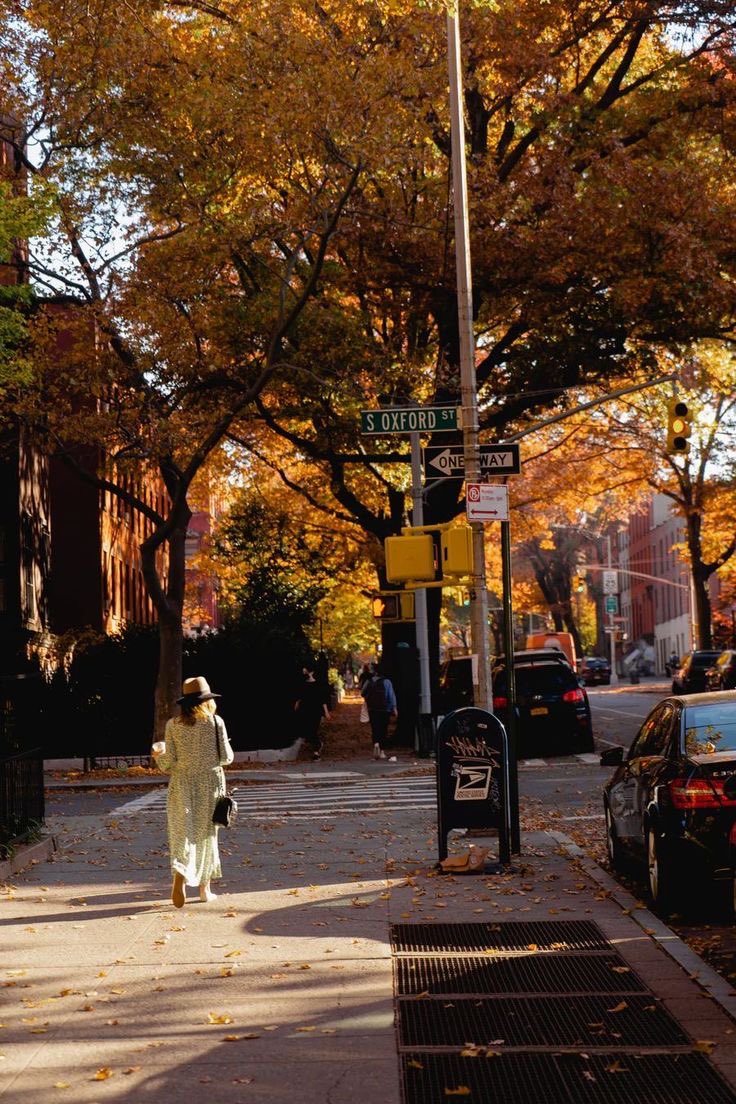 reminiscinbby's tweet photo. autumn in New York https://t.co/zDBdqNAi1O