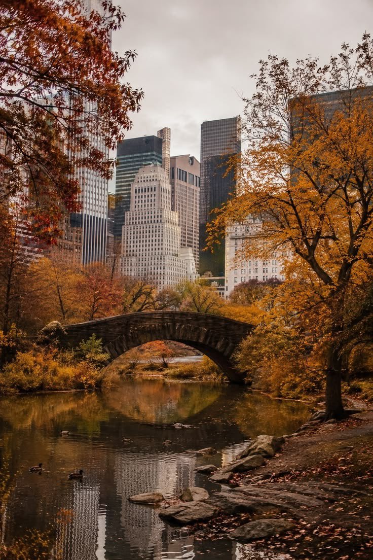 reminiscinbby's tweet photo. autumn in New York https://t.co/zDBdqNAi1O