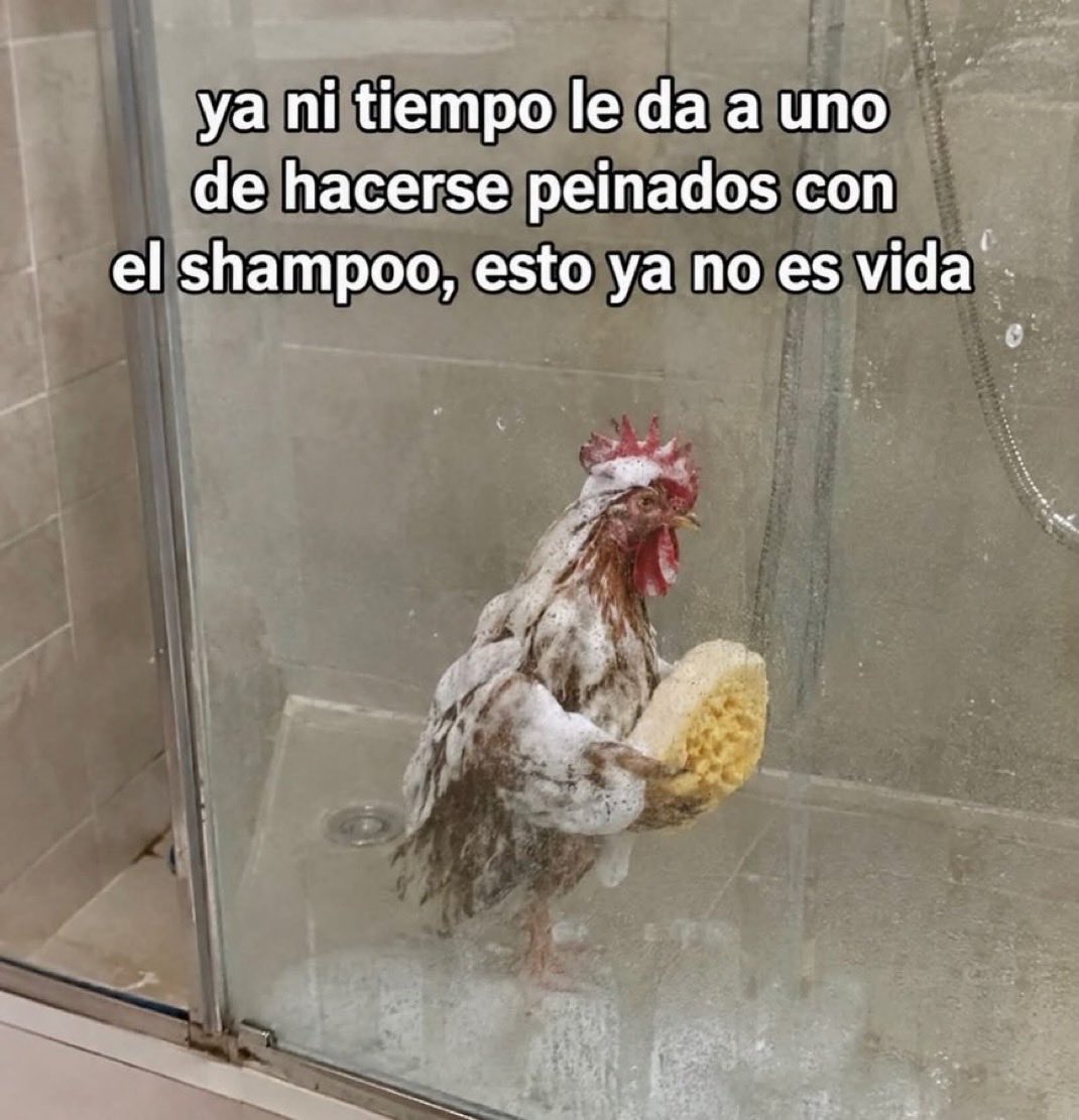 skereunpesado's tweet photo. https://t.co/xUAeKNEyp0