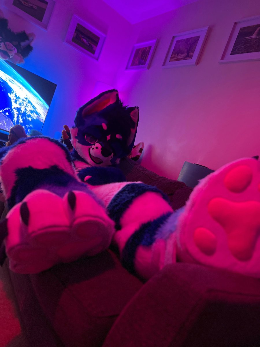 FoxyAtlas's tweet photo. POV your fox roommate still hasn't gotten a job and continues to make you worship his paws while he takes up the entire couch https://t.co/jjafcLdLoe