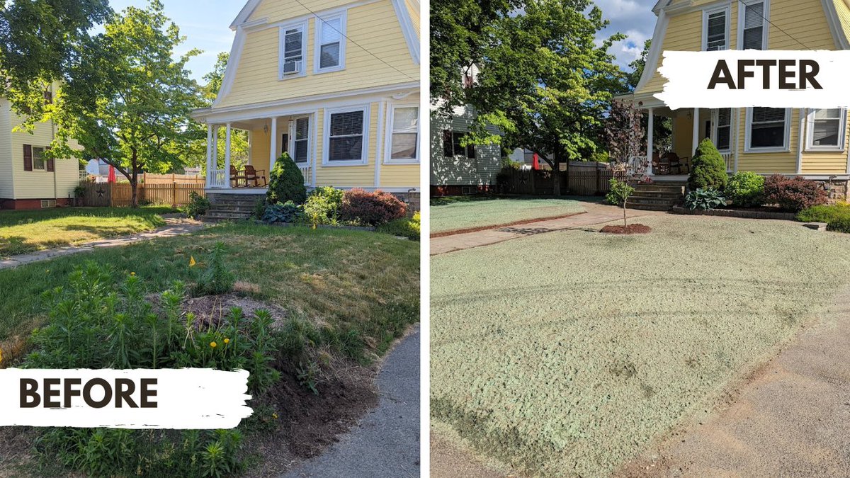 abucklandscaper's tweet photo. Stumps dug out and the old lawn was removed. New loam was spread and the yard was hydro seeded. With expert care and precision, we turned a old tired lawn into a beautiful, open space ready for fresh, lush grass. Ready to transform your yard? Contact us today https://t.co/6WHYWLPKvU