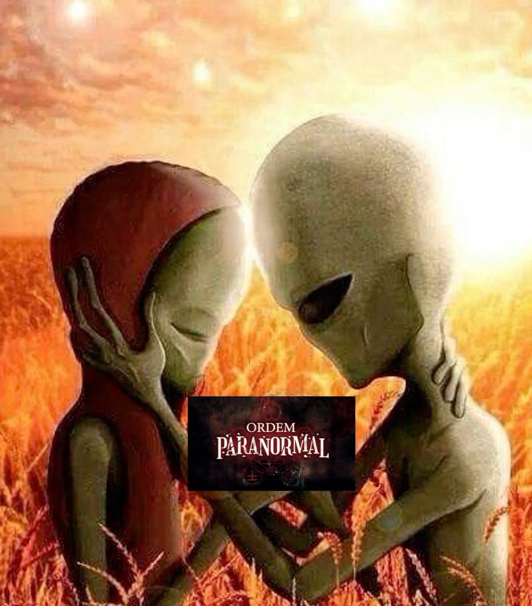 uiuipontocom's tweet photo. ordem paranormal realmente une pessoas https://t.co/oI8NGXOVAC