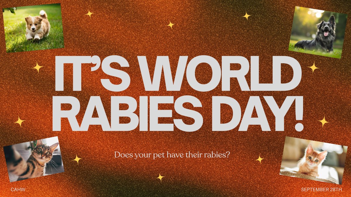 cahofwaller's tweet photo. 🐾🌎 HAPPY WORLD RABIES DAY 🌎🐾

Today we’re raising awareness about rabies and the importance of keeping our furry family members protected! 💉🐶🐱

🦴DID YOU KNOW? Keeping your pets up to date on their rabies vaccines is one of the best ways to help protect them, your... https://t.co/gsNQapgpuP