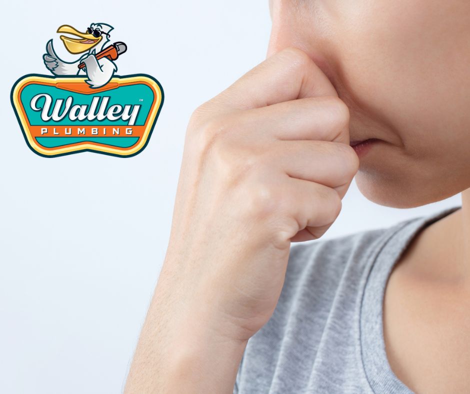 WalleyPlumbing's tweet photo. 👃 A sewage smell in your yard isn't something to ignore. Walley Plumbing Company diagnoses and repairs sewer line issues before they turn into a much bigger, messier problem. Call today 👉 https://t.co/ylVXTv5QYX
#WalleyPlumbing #PlumbingProblems #MobileAL #SewerLineRepair https://t.co/6JXDA2wcLC