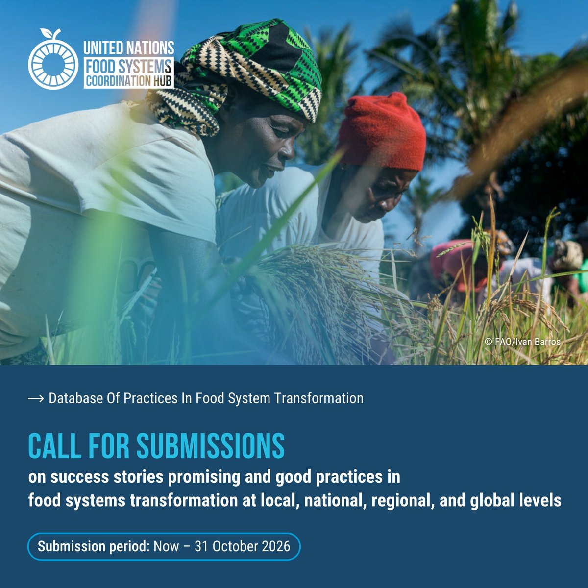 FoodSystems's tweet photo. 📢 Call for submissions!

National Convenors, governments, UN entities &amp; other food systems actors are invited to share practical experiences and lessons from #FoodSystems transformation.

📅 Deadline: 31 October 2026
 🔗Learn more &amp; submit: https://t.co/7jSt2Mucit https://t.co/zhU3tKpAGT