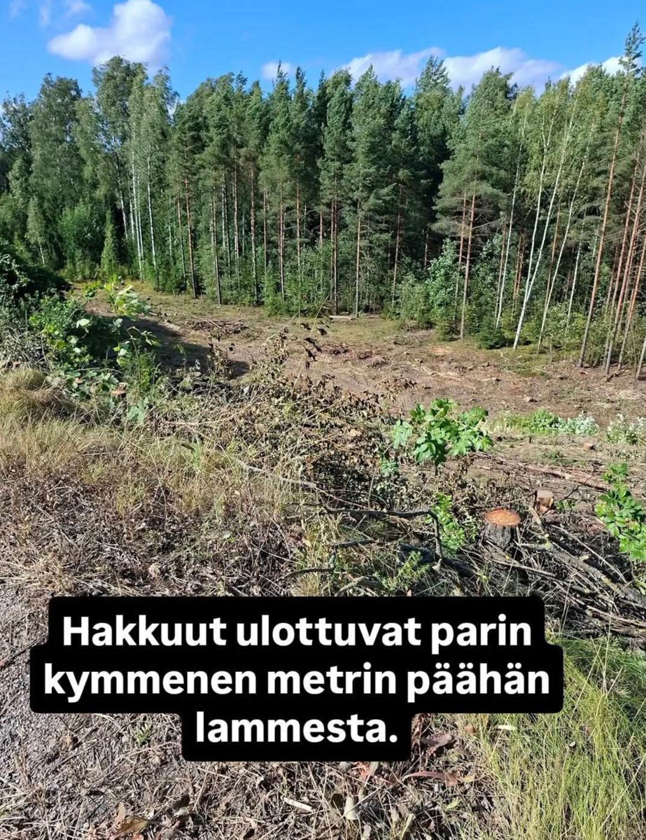 kaisaleena63_'s tweet photo. Samaan aikaan, kun @Ullavaan valittaa hallitukselle metsien suojelusta, hän on itse päättänyt Vantaan kaupunginhallituksen PJ:n ominaisuudessa kaataa satoja hehtaareja metsiä ympäri Vantasta, tuhoten harvinaisten eläinlajien asuinalueet luonnonsuojelulain vastaisesti. https://t.co/IQRm1Ihj40