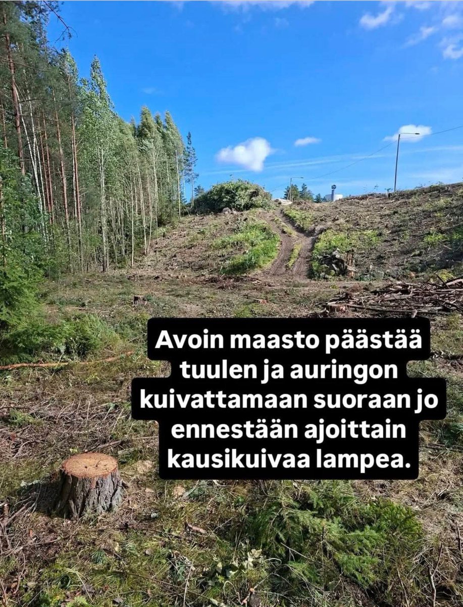 kaisaleena63_'s tweet photo. Samaan aikaan, kun @Ullavaan valittaa hallitukselle metsien suojelusta, hän on itse päättänyt Vantaan kaupunginhallituksen PJ:n ominaisuudessa kaataa satoja hehtaareja metsiä ympäri Vantasta, tuhoten harvinaisten eläinlajien asuinalueet luonnonsuojelulain vastaisesti. https://t.co/IQRm1Ihj40