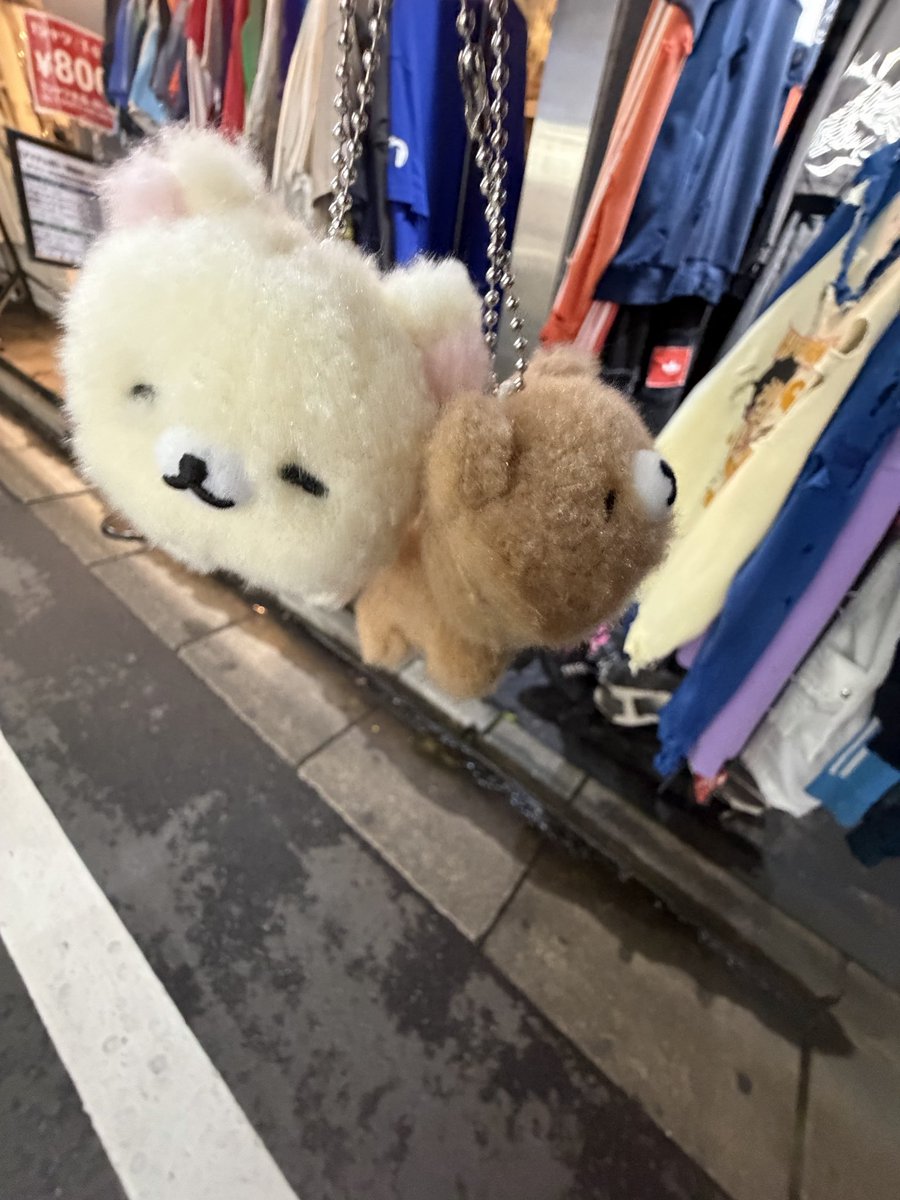 fckvzp's tweet photo. 特大移動した！なんか取れた！ https://t.co/XlNCnqlSXG