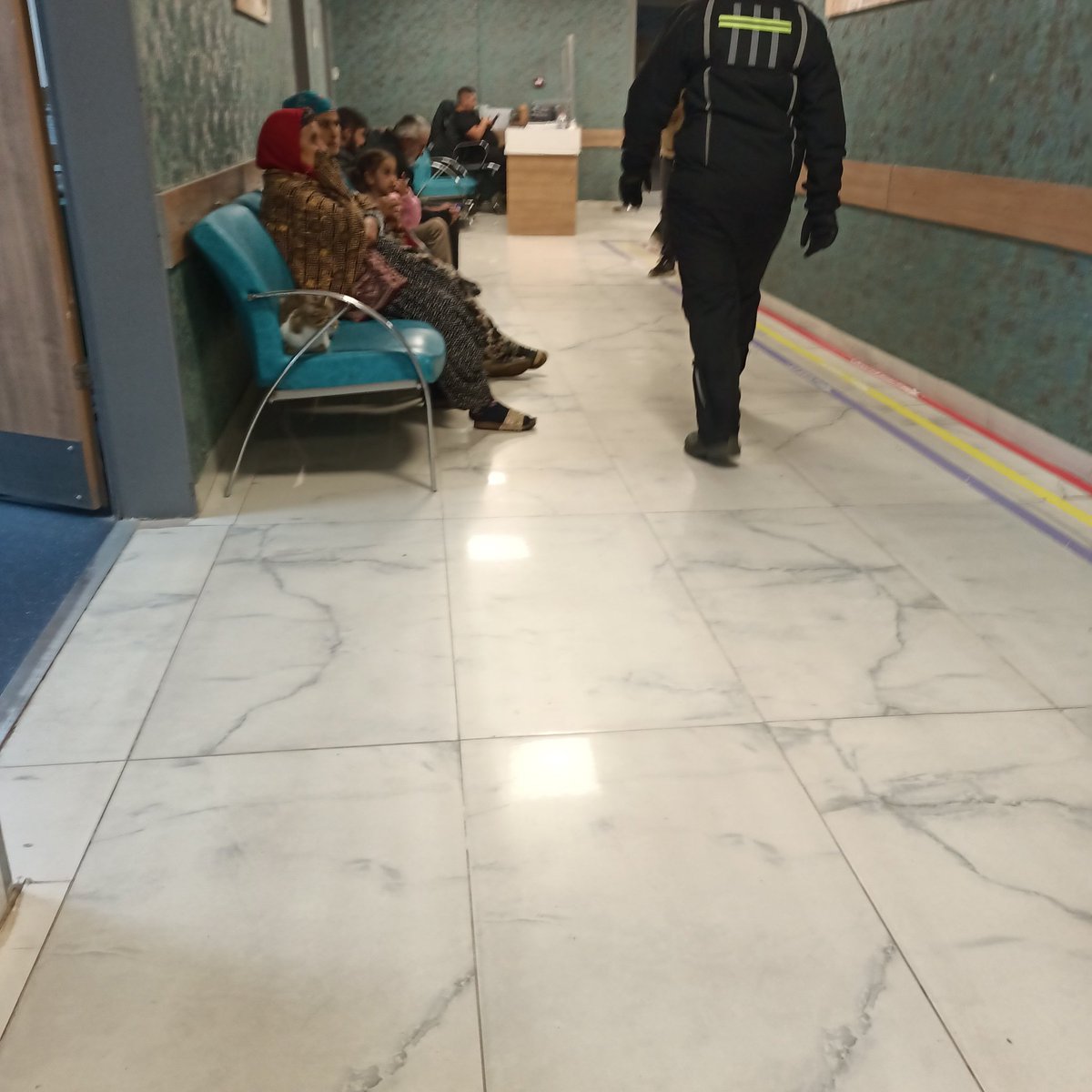 KediTehlikesi's tweet photo. Sakarya Hendek Devlet Hastanesi acil servisinde hijyen yok sayılıyor. Başıboş kediler odalarda cirit atıyor, kimseden ses yok. Göreve davet ediyoruz: @saglikbakanligi @tcbestepe @TC_icisleri @sagliklicozum https://t.co/0U0PyfFaTR