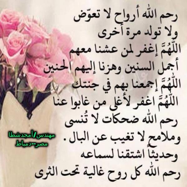 hamed8v's tweet photo. @hslmy394 https://t.co/6JN2ZpJlKA