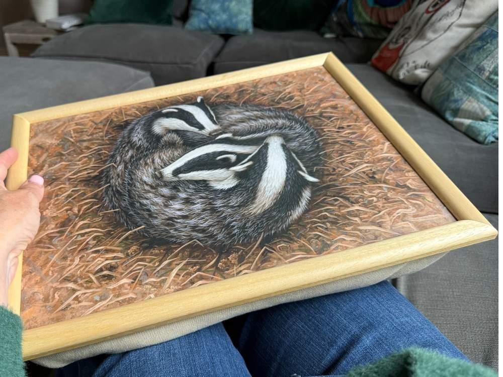 RobertEFuller's tweet photo. As the evenings close in, it’s time to get cosy🍂 with a lap tray featuring one of my paintings.
Robin, badger, Highland cattle or hedgehog, which would you choose? 🦔🦡🍁

https://t.co/UqJqr2m4rX https://t.co/xDpN8Il8D7