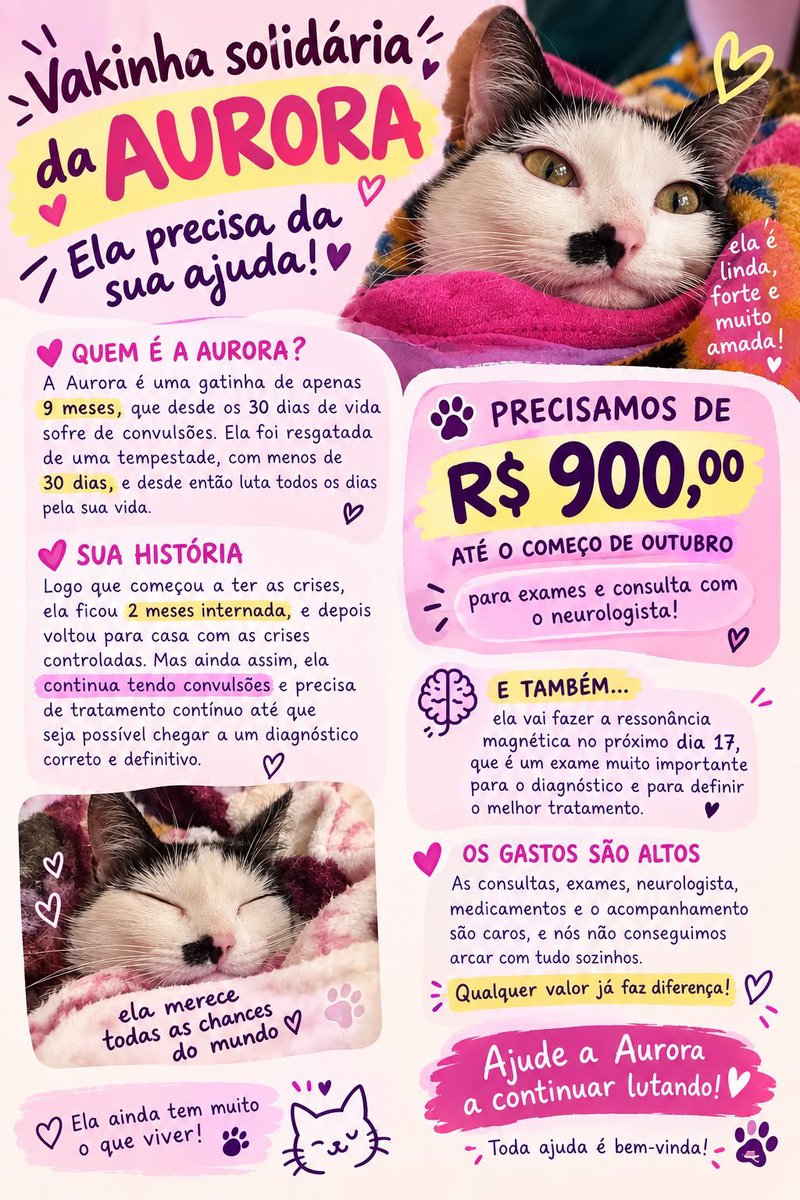 sonzapetsch's tweet photo. gente saiu o resultado da ultra da Aurora e deu algumas alterações significativas.. fiz essa vakinha solidária pra quem não puder comprar a rifinha pq precisamos refazer os exames de sangue no começo do mês 😩 toda ajuda importa, 1 real faz diferença!

🔑 auroracalvinha@gmail.com https://t.co/zx5xHZT5Xd