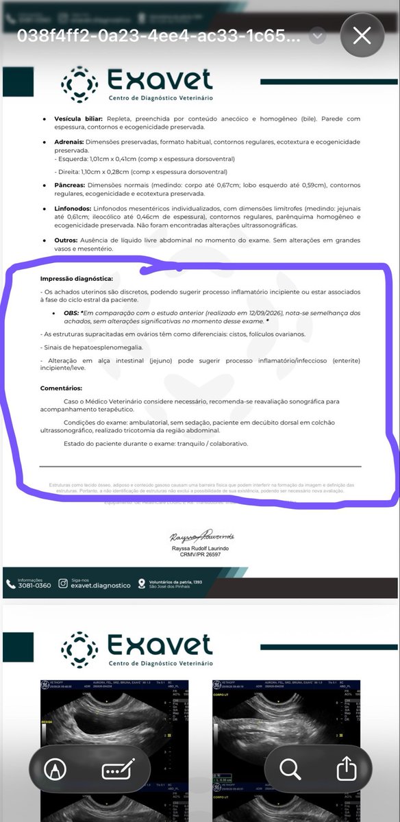 sonzapetsch's tweet photo. gente saiu o resultado da ultra da Aurora e deu algumas alterações significativas.. fiz essa vakinha solidária pra quem não puder comprar a rifinha pq precisamos refazer os exames de sangue no começo do mês 😩 toda ajuda importa, 1 real faz diferença!

🔑 auroracalvinha@gmail.com https://t.co/zx5xHZT5Xd