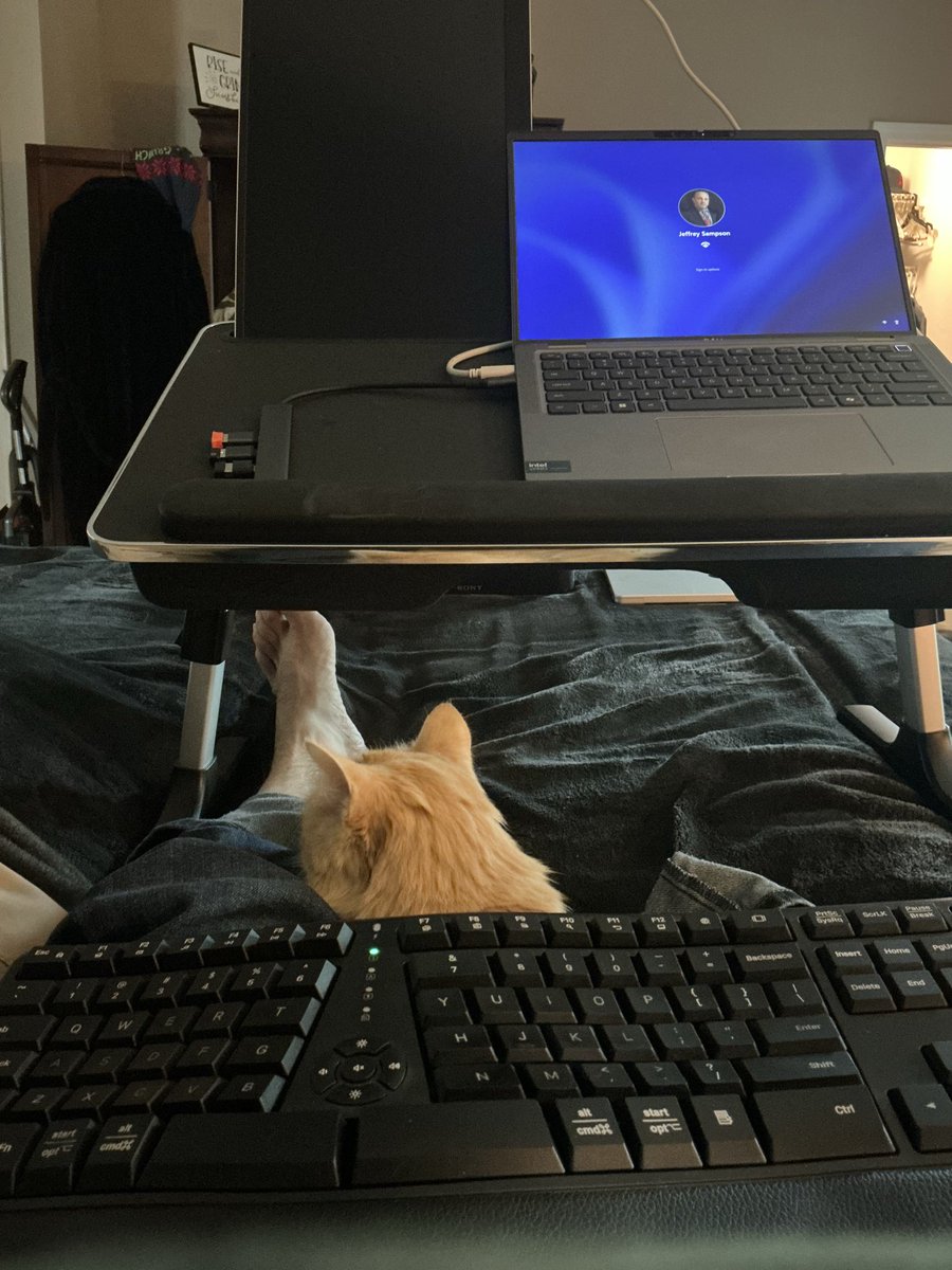 JeffSampson79's tweet photo. @EruriPain She's quickly wormed her way into my heart and spends much time cuddling with me as I work and write https://t.co/HXxEFy0qEc