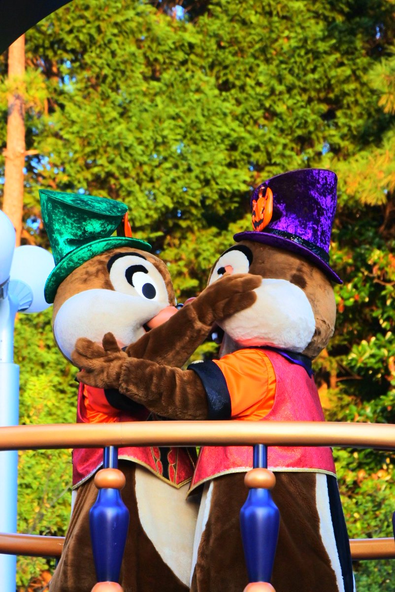 corin_zero's tweet photo. 🐿️🐿️ https://t.co/LLuj7pM2Iw
