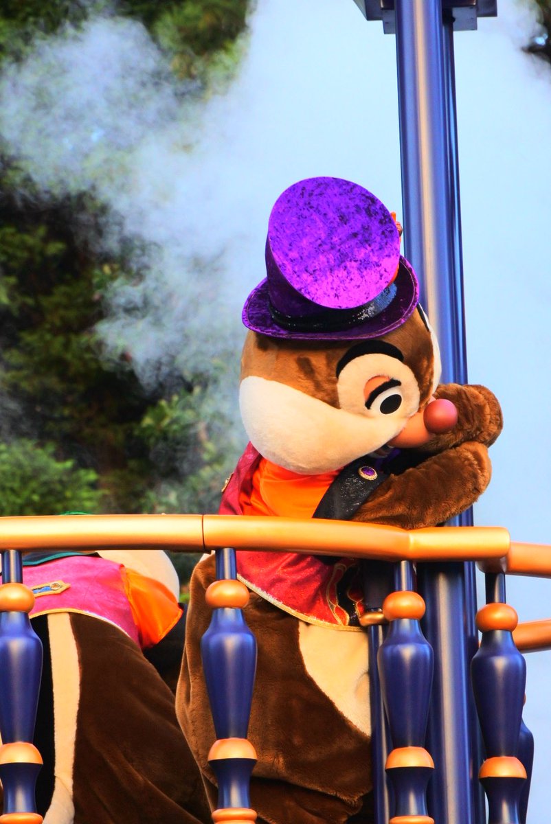 corin_zero's tweet photo. 🐿️🐿️ https://t.co/LLuj7pM2Iw