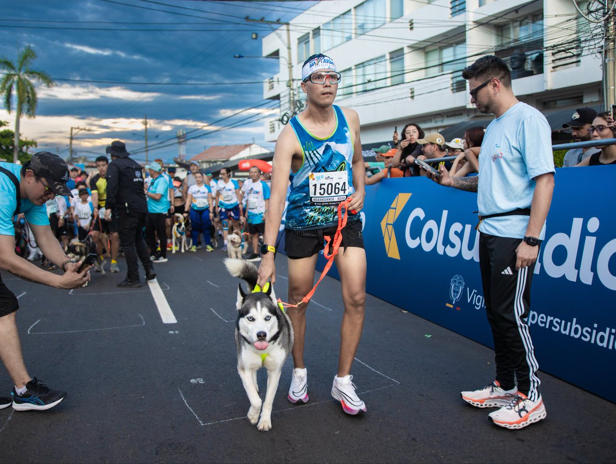 ipybac's tweet photo. La programación comenzará el sábado en la tarde-noche con 3K Canicross a las 6:00 p. m. y 5K a las 7:00 p. m. #MMCundinamarca https://t.co/bJdTqi29TT