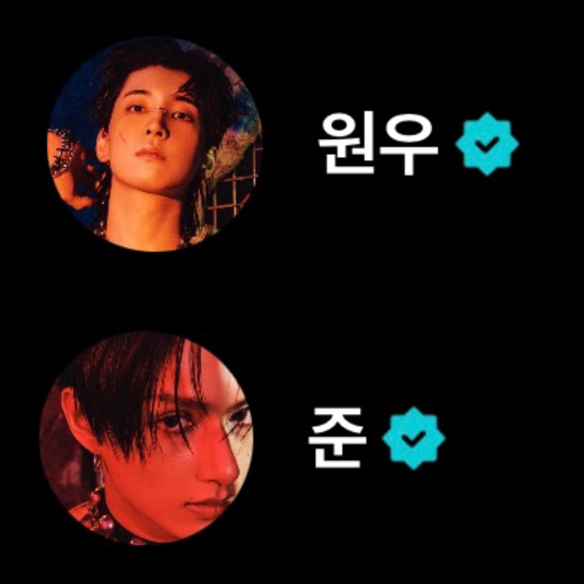 moontomeetyou's tweet photo. now it’s just jun and wonwoo left with their Thunder era pfps… can we pls get a wonhui unit so they can change their pfps tgt.. 😔🙏 https://t.co/uuQN819CDs