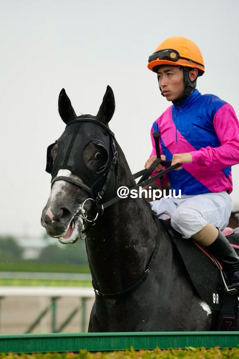 shipuu_'s tweet photo. 26/09/27 阪神競馬場　9R 兵庫特別

逃げて逃げて、2着
惜しかった( ᵒ̴̶̷᷄꒳ᵒ̴̶̷᷅ )
#メイショウナルカミ
#ゴールドシップ産駒 https://t.co/uLysWYXXCq