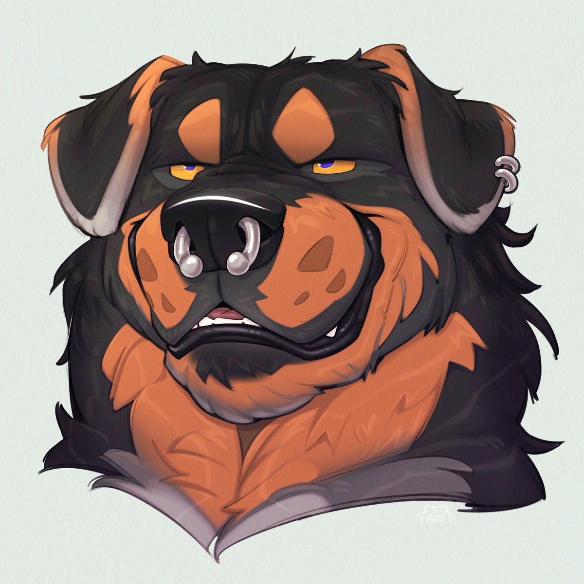 BearlyFeline tweet picture