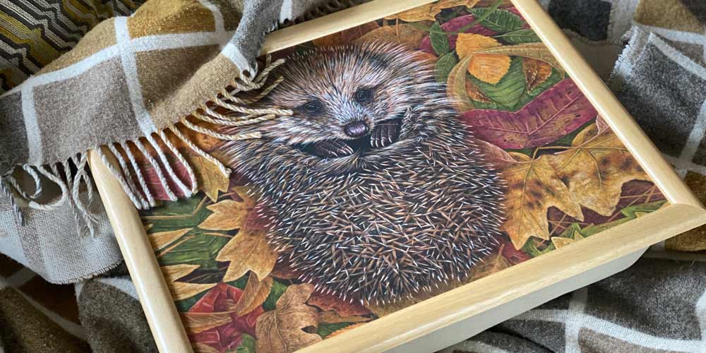 RobertEFuller's tweet photo. As the evenings close in, it’s time to get cosy🍂 with a lap tray featuring one of my paintings.
Robin, badger, Highland cattle or hedgehog, which would you choose? 🦔🦡🍁

https://t.co/UqJqr2m4rX https://t.co/xDpN8Il8D7