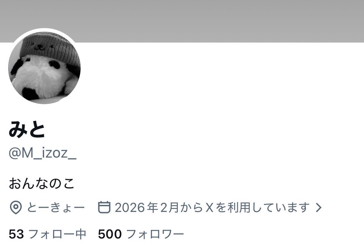 M_izoz_'s tweet photo. フォロワー500人ありがとうございます💕 https://t.co/JccH3qKc84