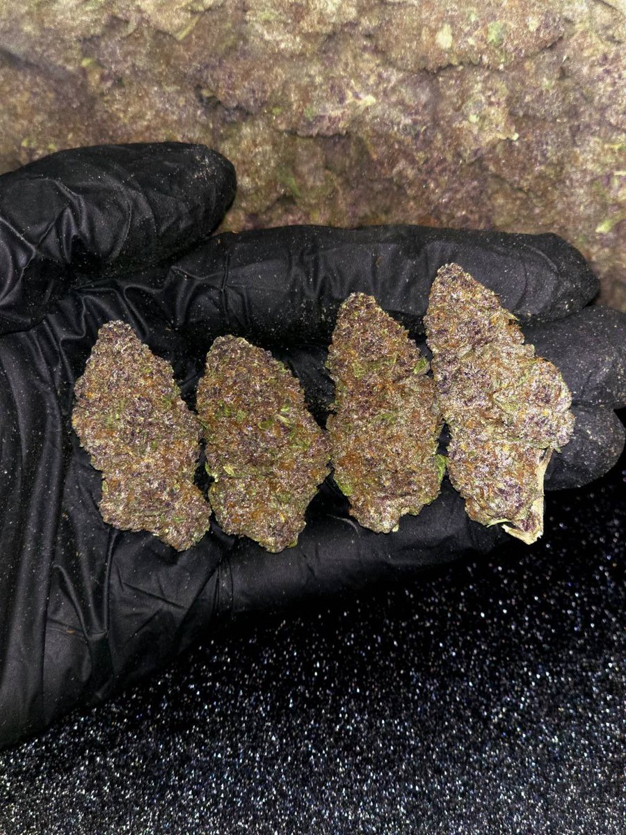 kaai_neuua_boi's tweet photo. 🏞️【 🌞 Evap • Farm ภาคเหนือ🪴 】🇹🇭
🥦Size Top Mid 🌞✨

🔸 LSD-25 🌌🫐
🔸 Indica70% 🔸THC20%

Aroma🔺 Blueberry 🫐 Spicy 🌶️ Diesel ⛽

💸100G = 899฿ , 1KG = 4,999฿💸

🛍️สนใจสินค้า @Line 
ทักแชท ตามสั่งได้เลยครับ🔻
Line ID (.) ▶️ 0924153858.
https://t.co/85BMKgGDfj

#weed #og https://t.co/JuW48OfKEC