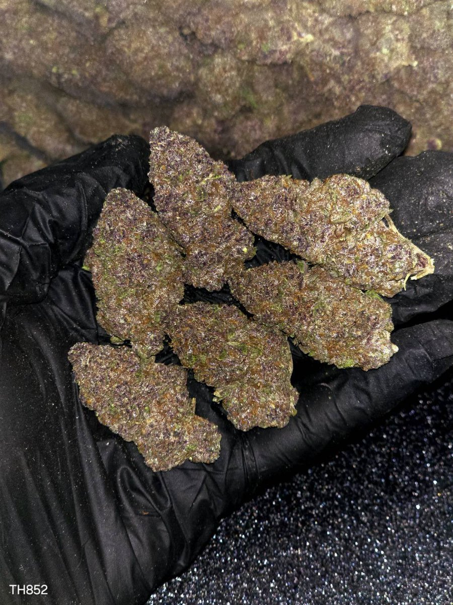 kaai_neuua_boi's tweet photo. 🏞️【 🌞 Evap • Farm ภาคเหนือ🪴 】🇹🇭
🥦Size Top Mid 🌞✨

🔸 LSD-25 🌌🫐
🔸 Indica70% 🔸THC20%

Aroma🔺 Blueberry 🫐 Spicy 🌶️ Diesel ⛽

💸100G = 899฿ , 1KG = 4,999฿💸

🛍️สนใจสินค้า @Line 
ทักแชท ตามสั่งได้เลยครับ🔻
Line ID (.) ▶️ 0924153858.
https://t.co/85BMKgGDfj

#weed #og https://t.co/JuW48OfKEC