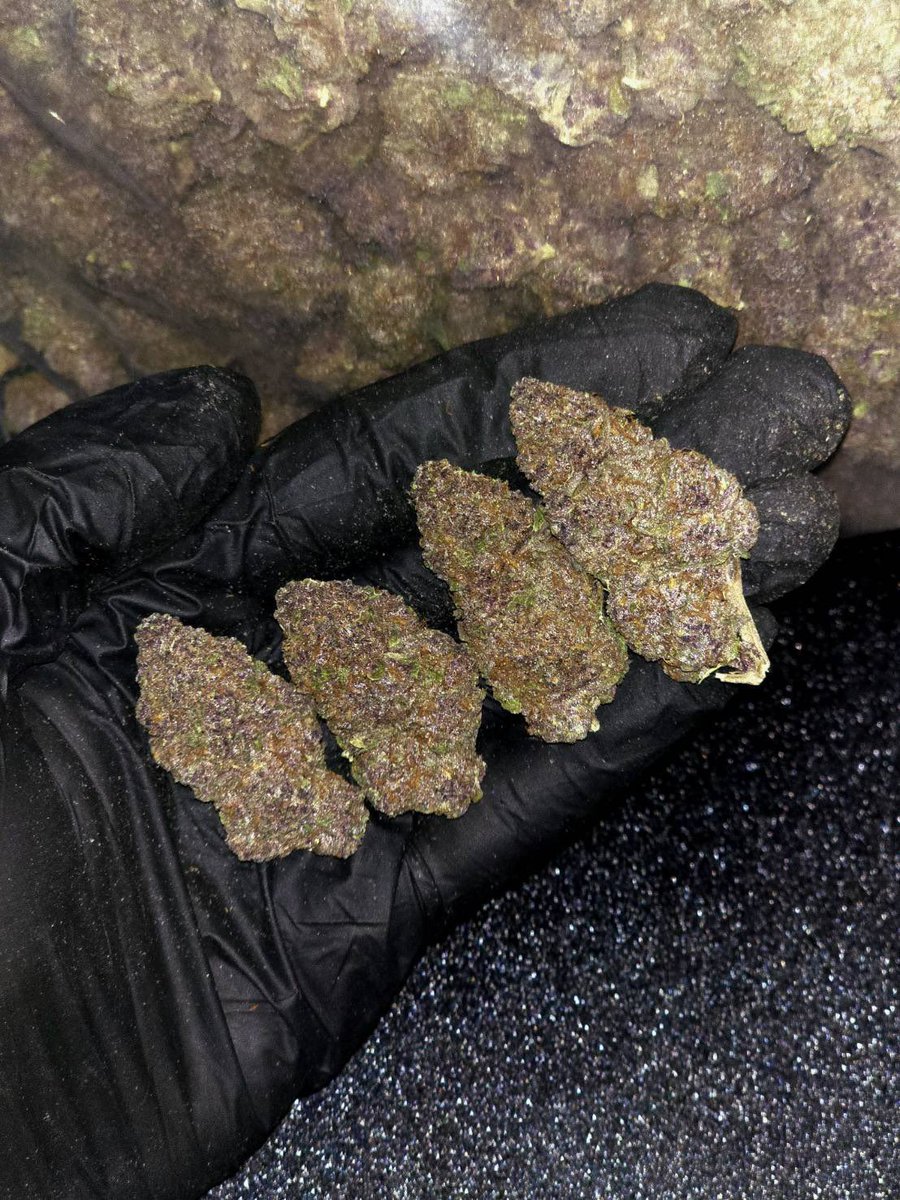kaai_neuua_boi's tweet photo. 🏞️【 🌞 Evap • Farm ภาคเหนือ🪴 】🇹🇭
🥦Size Top Mid 🌞✨

🔸 LSD-25 🌌🫐
🔸 Indica70% 🔸THC20%

Aroma🔺 Blueberry 🫐 Spicy 🌶️ Diesel ⛽

💸100G = 899฿ , 1KG = 4,999฿💸

🛍️สนใจสินค้า @Line 
ทักแชท ตามสั่งได้เลยครับ🔻
Line ID (.) ▶️ 0924153858.
https://t.co/85BMKgGDfj

#weed #og https://t.co/JuW48OfKEC