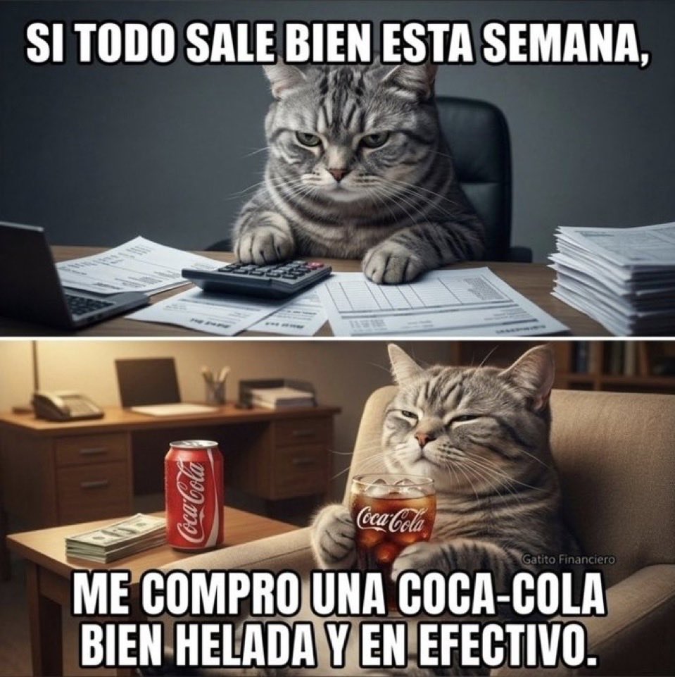 Fabiolacar49087's tweet photo. https://t.co/gMNPu1RYGg