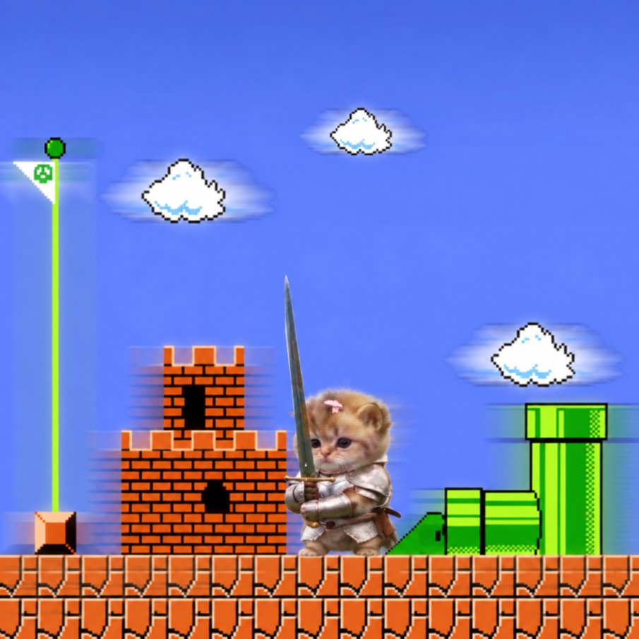 catwifswordsoll's tweet photo. swordcat vs mario https://t.co/5t5SAjGGDB
