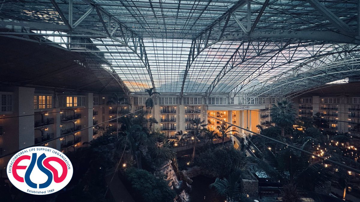 ELSOOrg's tweet photo. ☀️ Sun is rising over beautiful Nashville and everything is ready for #ELSO2026! The pre-conference, #ECMO unfiltered: real debates, real cases, real progress is about to start ☕️ https://t.co/21S7PaPJUC