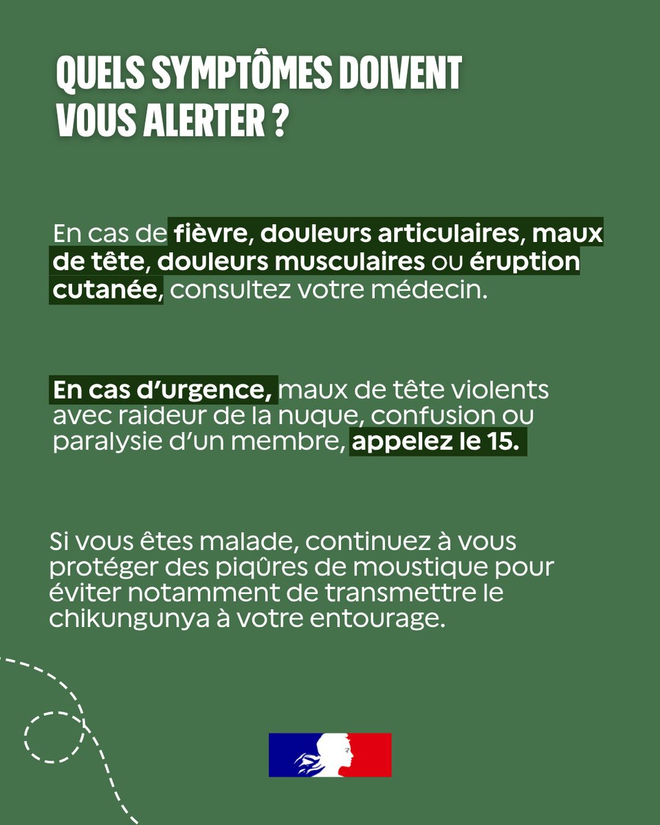 Sante_Gouv's tweet photo. #Moustiques | Quels symptômes doivent vous alerter ?
 
Fièvre, douleurs articulaires, maux de tête, douleurs musculaires, éruption cutanée… certains symptômes peuvent nécessiter une consultation médicale.
🩺 Consultez votre médecin en cas de symptômes. Et si vous êtes malade, continuez à vous protéger des piqûres de moustique pour éviter notamment de transmettre le chikungunya à votre entourage.
 
👉 Plus d’informations sur :
https://t.co/36I56hyRJD
https://t.co/tAWMsNcgd3