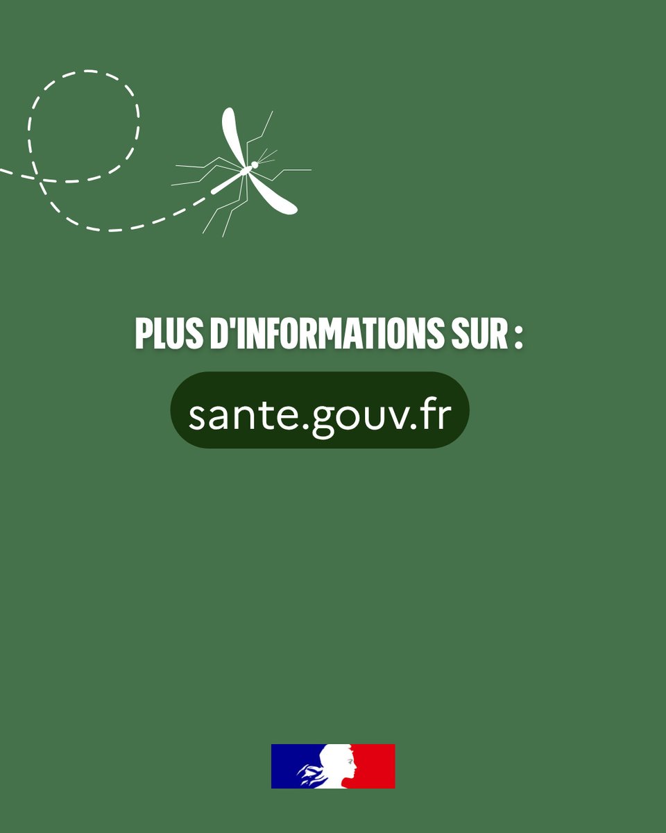 Sante_Gouv's tweet photo. #Moustiques | Quels symptômes doivent vous alerter ?
 
Fièvre, douleurs articulaires, maux de tête, douleurs musculaires, éruption cutanée… certains symptômes peuvent nécessiter une consultation médicale.
🩺 Consultez votre médecin en cas de symptômes. Et si vous êtes malade, continuez à vous protéger des piqûres de moustique pour éviter notamment de transmettre le chikungunya à votre entourage.
 
👉 Plus d’informations sur :
https://t.co/36I56hyRJD
https://t.co/tAWMsNcgd3