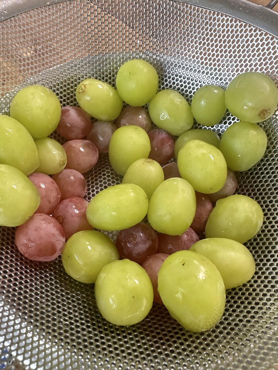 Buncho_Devil's tweet photo. 【今日の日記】
昨日作りすぎた芋煮に豆腐を入れて食べる。里芋と牛肉ってなんでこんなに合うんだろう。寒くなってきたから毎日鍋でもいいな。週一のペースで火鍋か豆乳しゃぶしゃぶを食べているからレアな鍋が食べたい。せり鍋とか。鴨鍋とか。きりたんぽ鍋とか。Mちゃんからもらった葡萄はあと一房。 https://t.co/uRgYAvYoeg