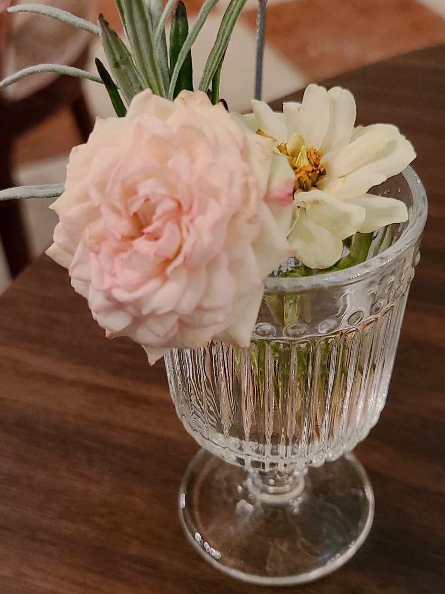 kira2van_Bang's tweet photo. ティールームのコラボドリンク、すごく美味しかったのでまた味わえてよかった！
茶葉も買えたのでお家でも楽しめそう🤘
今回は相席だったんだけど、優しい同担さんでよかった〜✨
お話ししてくださってありがとうございました😊 https://t.co/T81DeT7utL
