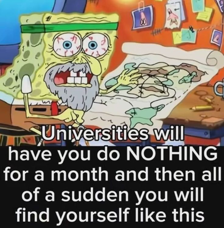 nocontextmemes's tweet photo. https://t.co/74czJrSNKN