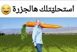 Hmarrando's tweet photo. @none688926 🤣🤣🤣🤣 ولك أنا ابوك بديا غبي . 
مش مصدق روح اسال الماما .. 
تعمليش رجل ولك.. هات عنوانك... 
أو خذ الجزرة سلك حالك فيها وخلصني من قرفك يا ابن الحرام. https://t.co/j8U4iCCgji