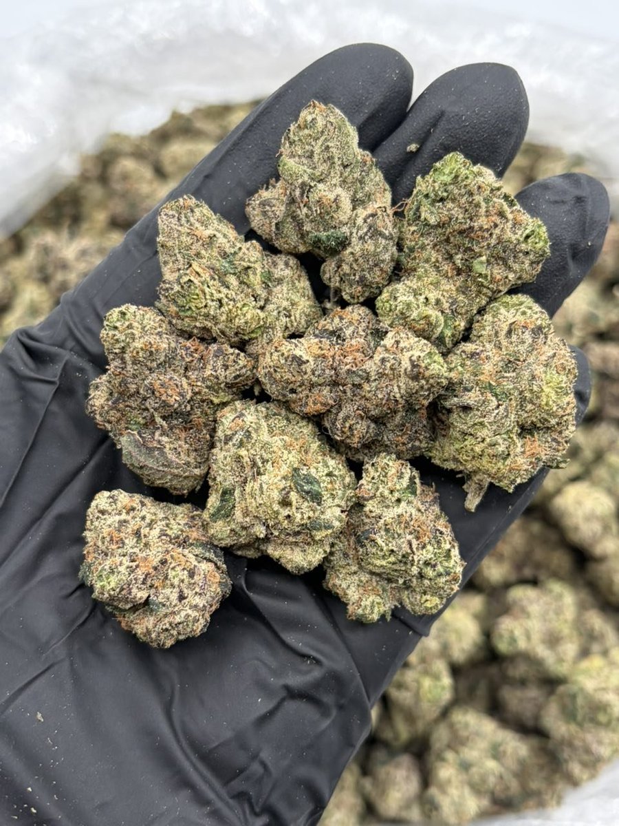 packpro___'s tweet photo. Pink runtz D11

Singles - $1125 shipped 📦
2+ $1100 
5+ $1075 
10+ $1025 
20+ $975 
Bulk 📲 

In town 📍📲 https://t.co/tpzNcQMmcF