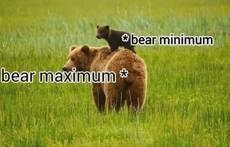 Bear1nCrisis's tweet photo. https://t.co/qfvnhjwDpa