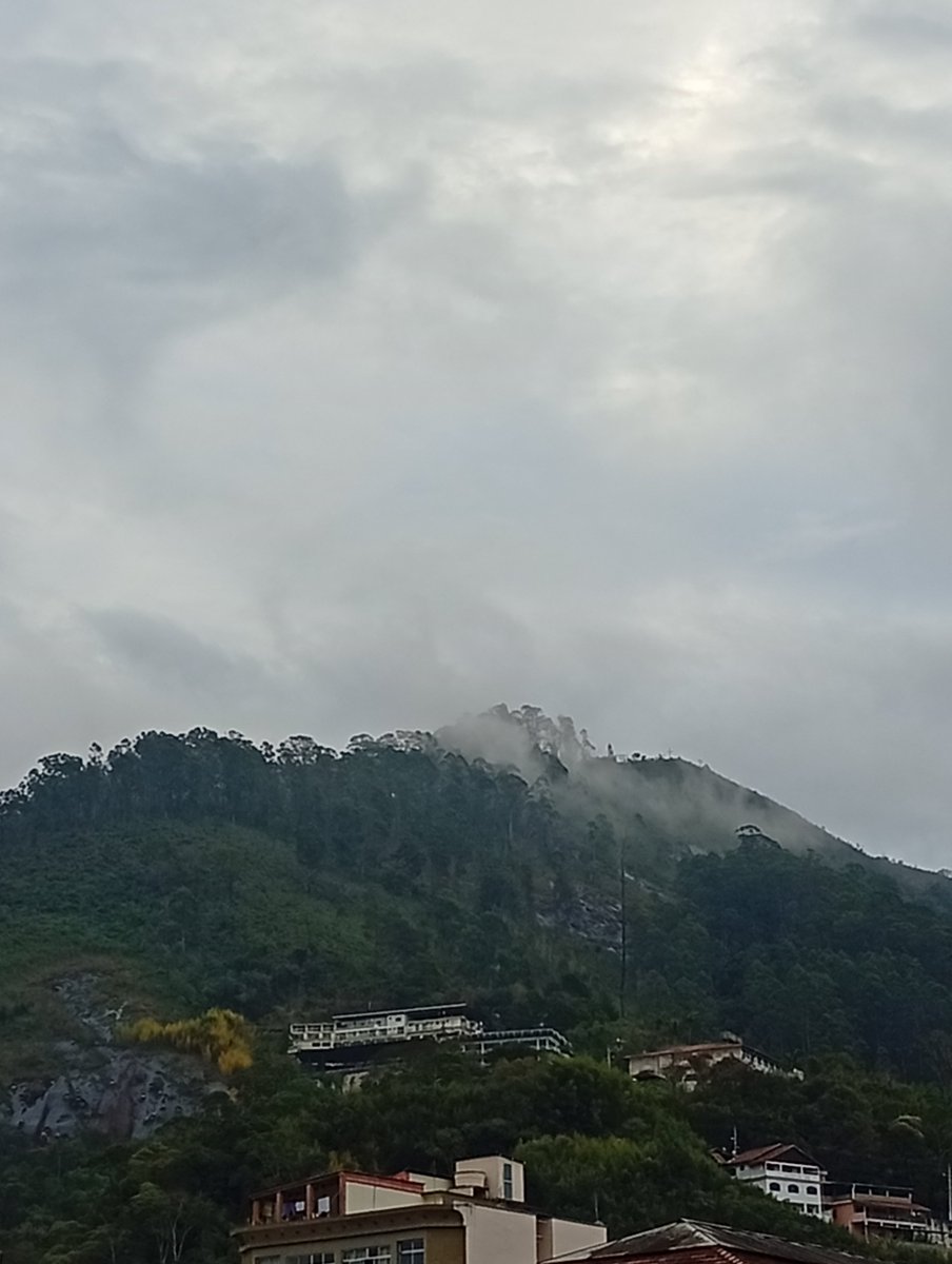 strawberryfoxyy's tweet photo. @nextlevelhoon Minha cidade tá assim faz uns 84 anos 🤡 acho que fui parar em Forks e não tô sabendo... https://t.co/32WiixNtSo