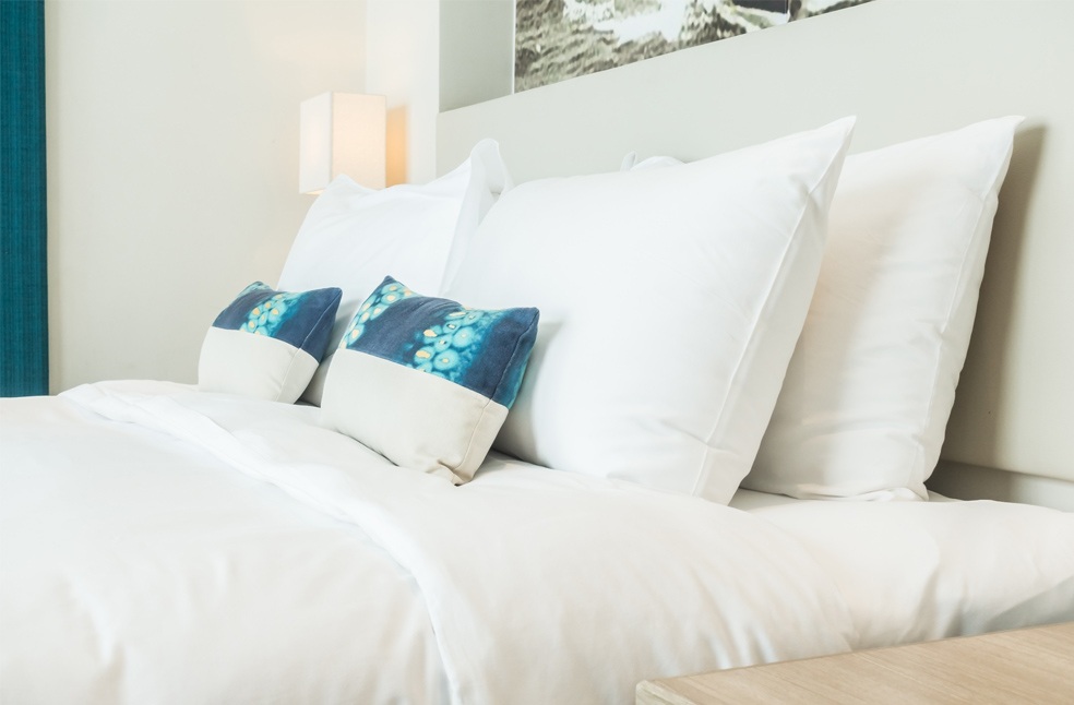 BritainHerald's tweet photo. Choosing the right pillow: What sleepers need to know | https://t.co/ZYA7Bk8nVv

#RightPillow #PillowGuide #SleepingPosition #BritainHerald #BetterSleep #SleepHealth #NeckSupport #HealthySleep #PillowDesign https://t.co/Zn71rW9XFF