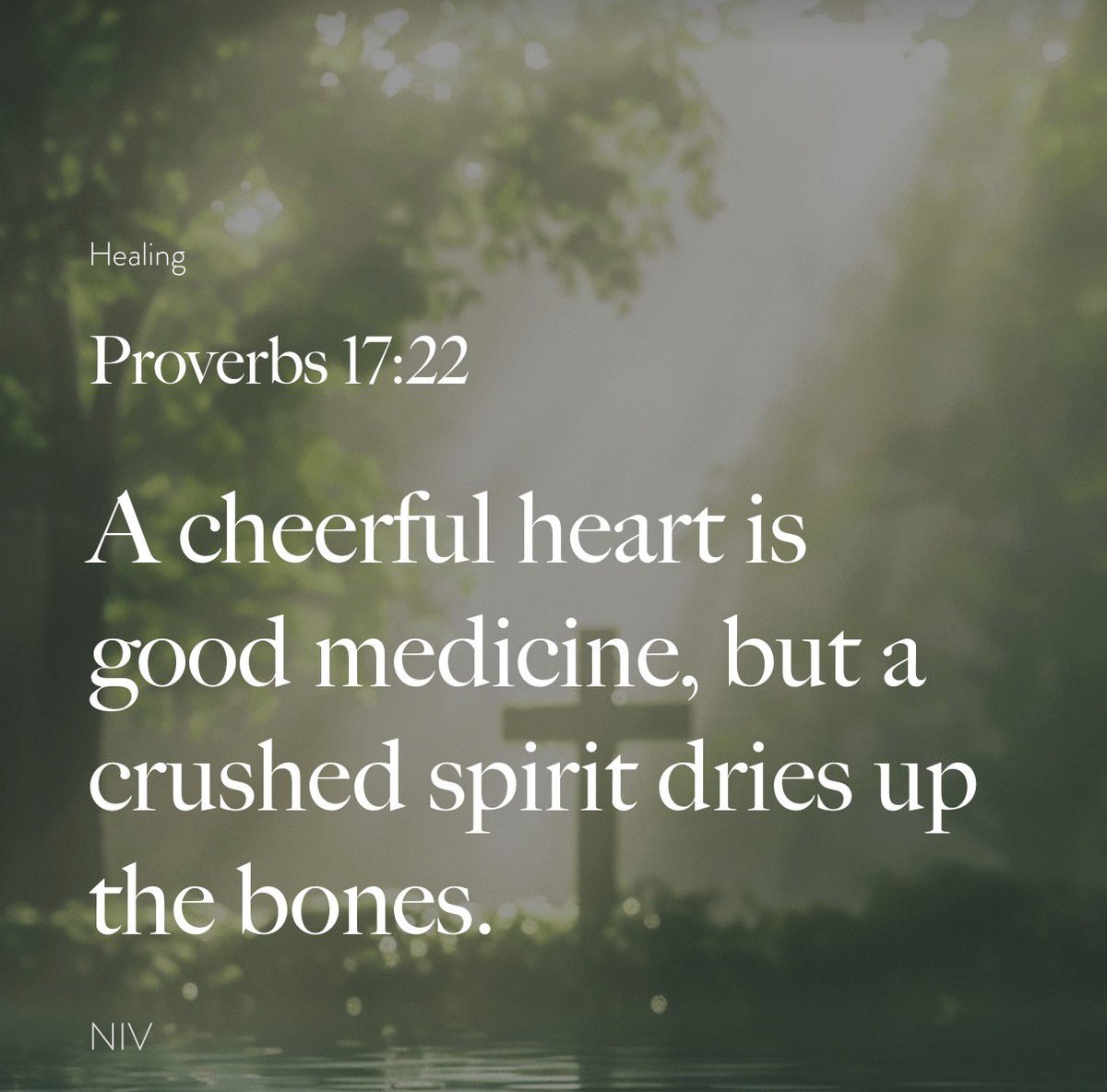 truestormyjoe's tweet photo. Day 271

I received a gift in Dec of 2025
It sends daily Bible Verses, Scripture Passages, Spiritual Growth and Encouragement.

I will share them each day.

With the hopes that it might help someone out there.
If that someone isn't you, no need to be negative please just scroll. 
It's not a decode or hidden message.
If you R/T maybe this will find someone that needed to hear this.

God Bless