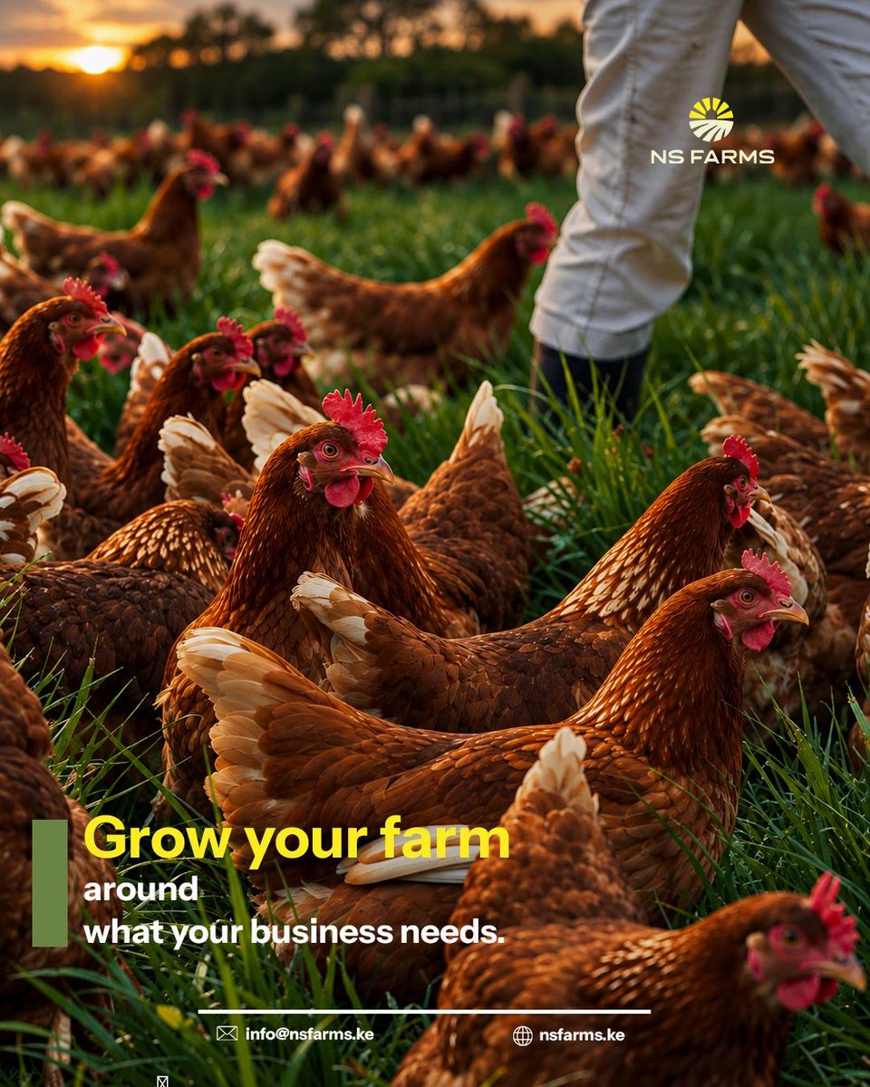 ns93315's tweet photo. Don’t just grow a farm. Grow a business.

Align what you produce with market demand, make smarter decisions, and build for sustainable growth.

#Agribusiness #SmartFarming #Agriculture #Farming https://t.co/affgT0UPjL
